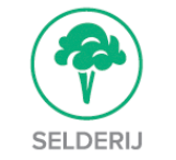 Selderij