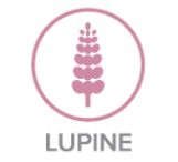 Lupine